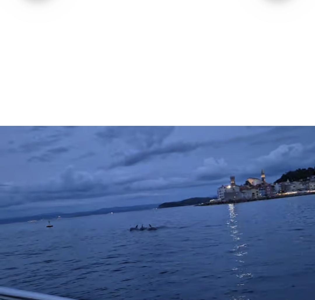 Dusk near Piran with dolphins